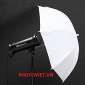 Đèn flash studio photon ALFA 600